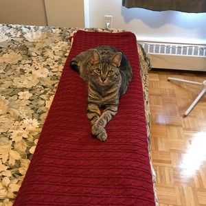 Meet your Posher, Keri